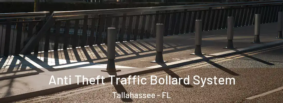  Anti Theft Traffic Bollard System Tallahassee - FL