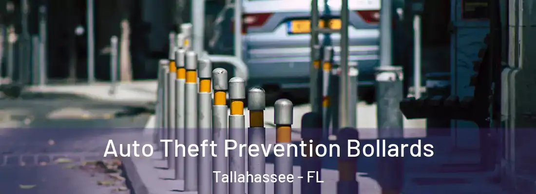  Auto Theft Prevention Bollards Tallahassee - FL