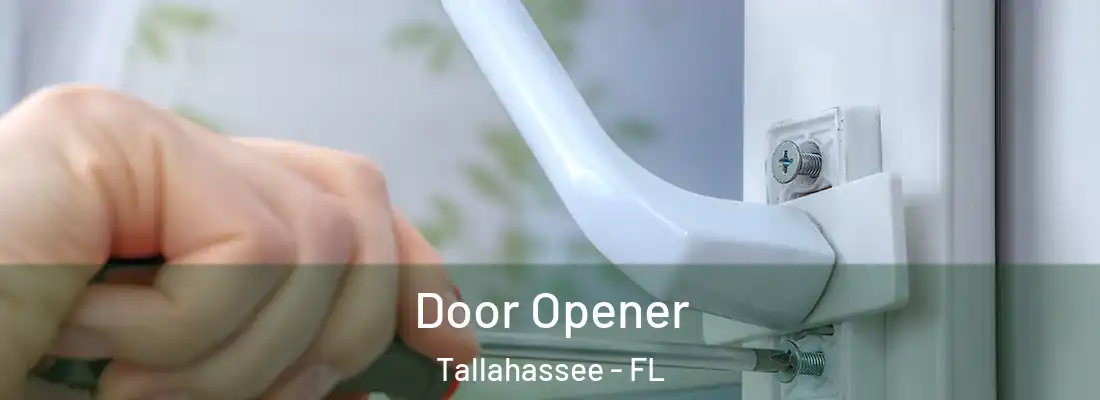  Door Opener Tallahassee - FL